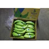 Grossiste banane plantain vert