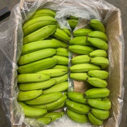 BANANE verte