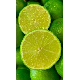 Citron vert tahiti import