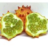 Kiwano origine france