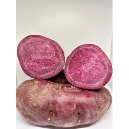 Patate douce violette. Achat directement sur internet