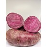 Patate douce violette. Achat directement sur internet