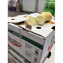Vente en ligne patate Douce blanche