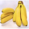 Baby Banane