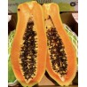 Grossiste fruits et légumes exotique sur internet www.fruilegshop.com