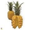Grossiste d'ananas sur Rungis et en ligne sur internet