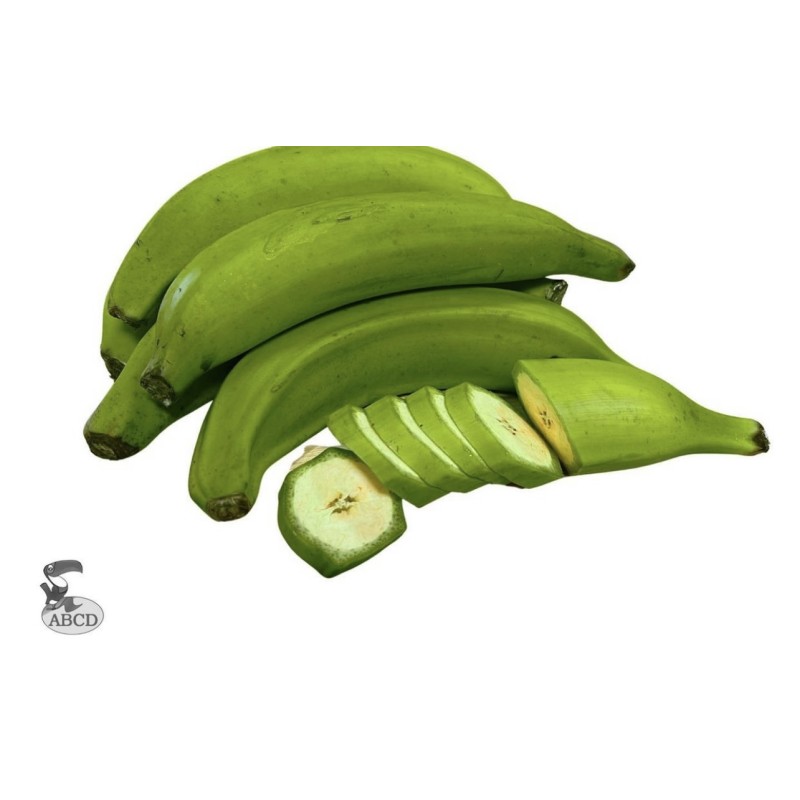 Banane plantain verte. Grossiste en ligne