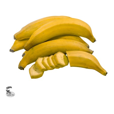 Grossiste banane plantain jaune