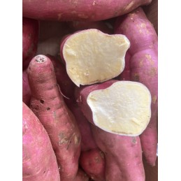 Patate douce rose chair blanche. Achat directement sur internet