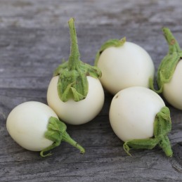 Grossiste d'aubergine blanche sur Rungis et en ligne sur internet