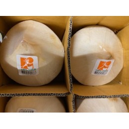 Noix de coco fraîche. Achat directement sur internet