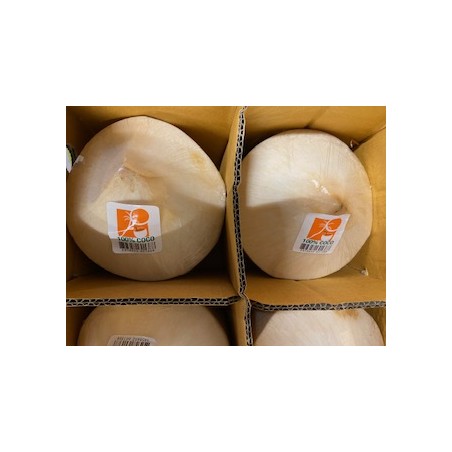 Noix de coco fraîche. Achat directement sur internet