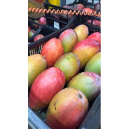 Mangue Keitt