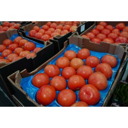 Tomate vrac import